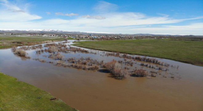 Kars Çayı taştı: Ağaçlar sular altında kaldı